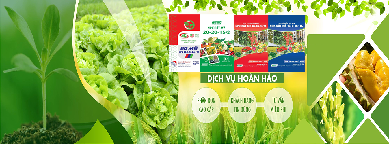 LÂM TUYẾT NHƯ